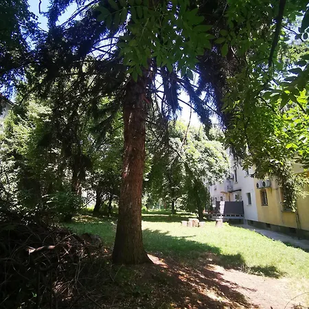 59 * Sofia
